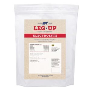 Leg Up Electrolyte (SmartPak Equine)