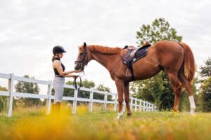Back Pain in Horses: Signs, Causes, Treatment & Management