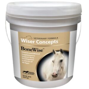 BoneWise (Wiser Concepts)