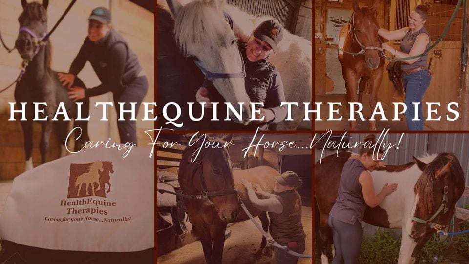 Lauren Marlborough - Equine Massage Therapist