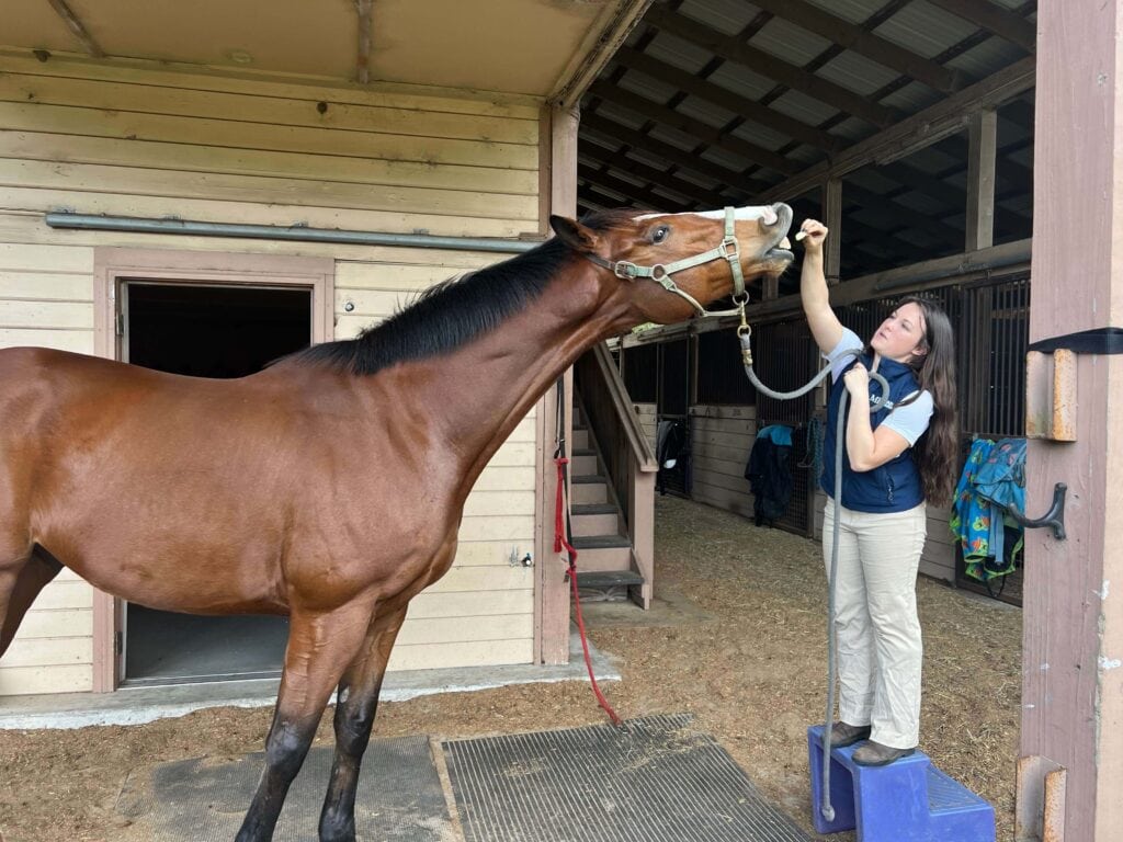 neck extension carrot stretch
