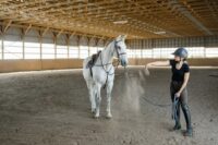 How Do Horses Learn? The Science Behind Equine Training & Behavior