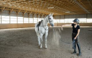 learning-theory-and-horse-training