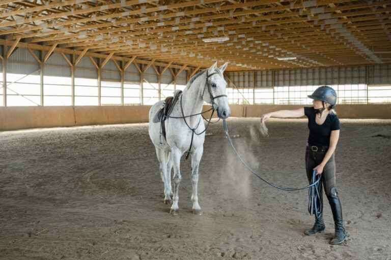learning-theory-and-horse-training