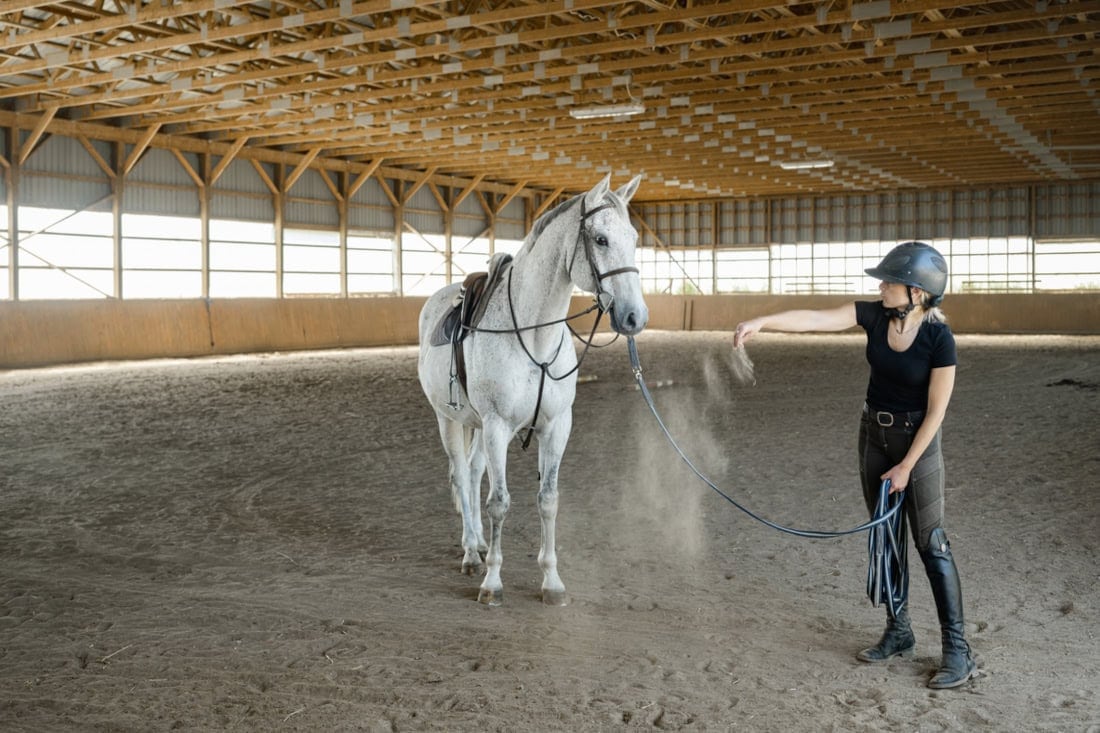 How Do Horses Learn? The Science Behind Equine Training & Behavior