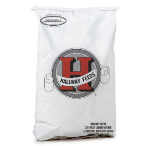 Foundation Cube (Hallway Feeds)