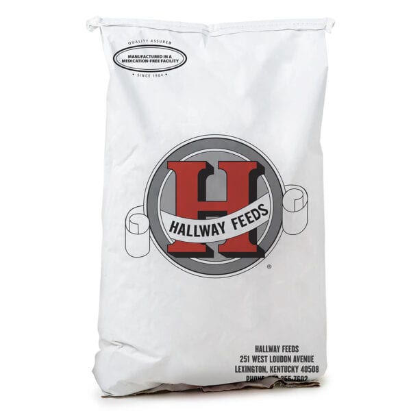 Foundation Cube (Hallway Feeds)