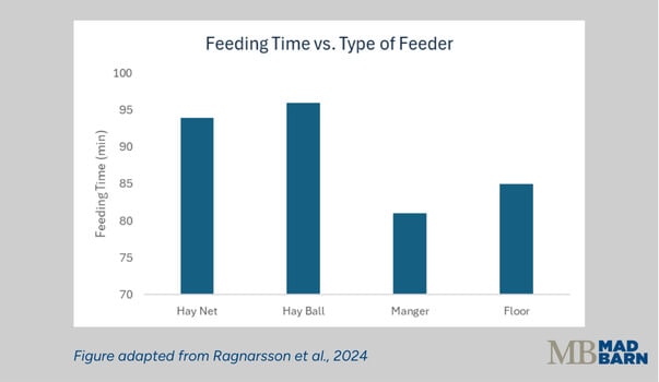 Feeding Time Study for Icelandic Horses