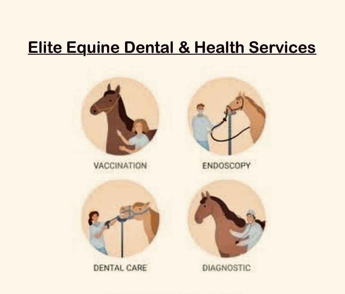 Aashan Bucciarelli - Dental Practitioner