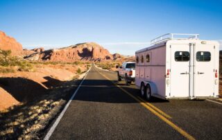 international horse transport