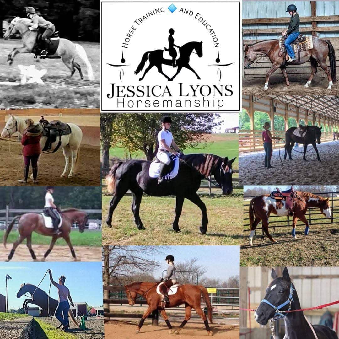 Jessica Lyons Horsemanship LLC - Coaches & Trainers