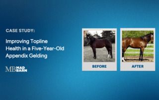 improving topline health in a five-year-old appendix gelding