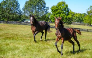retraining-ottbs
