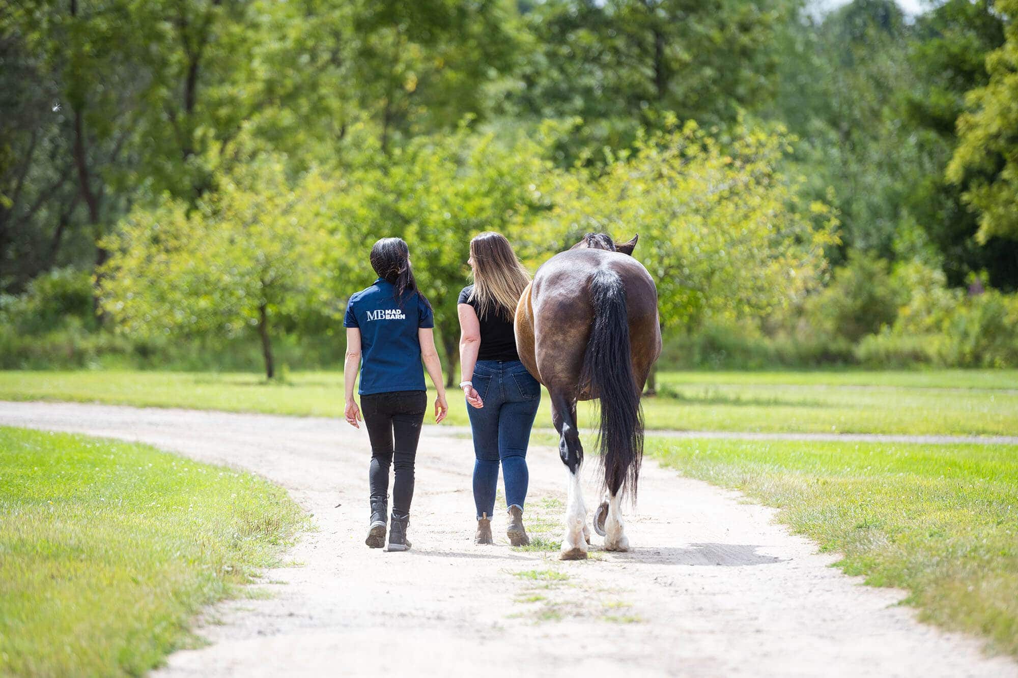 Top 32 Most Interesting Equine Research Studies of 2024