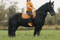 Bareback Pads for Horses: How to Choose the Best Pad for Bareback Riding