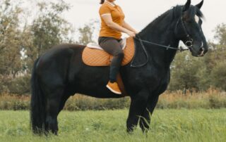 bareback-pads-for-horseback-riding