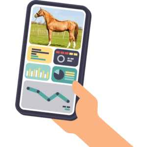 Using AI to Body Condition Score Horses from Photos
