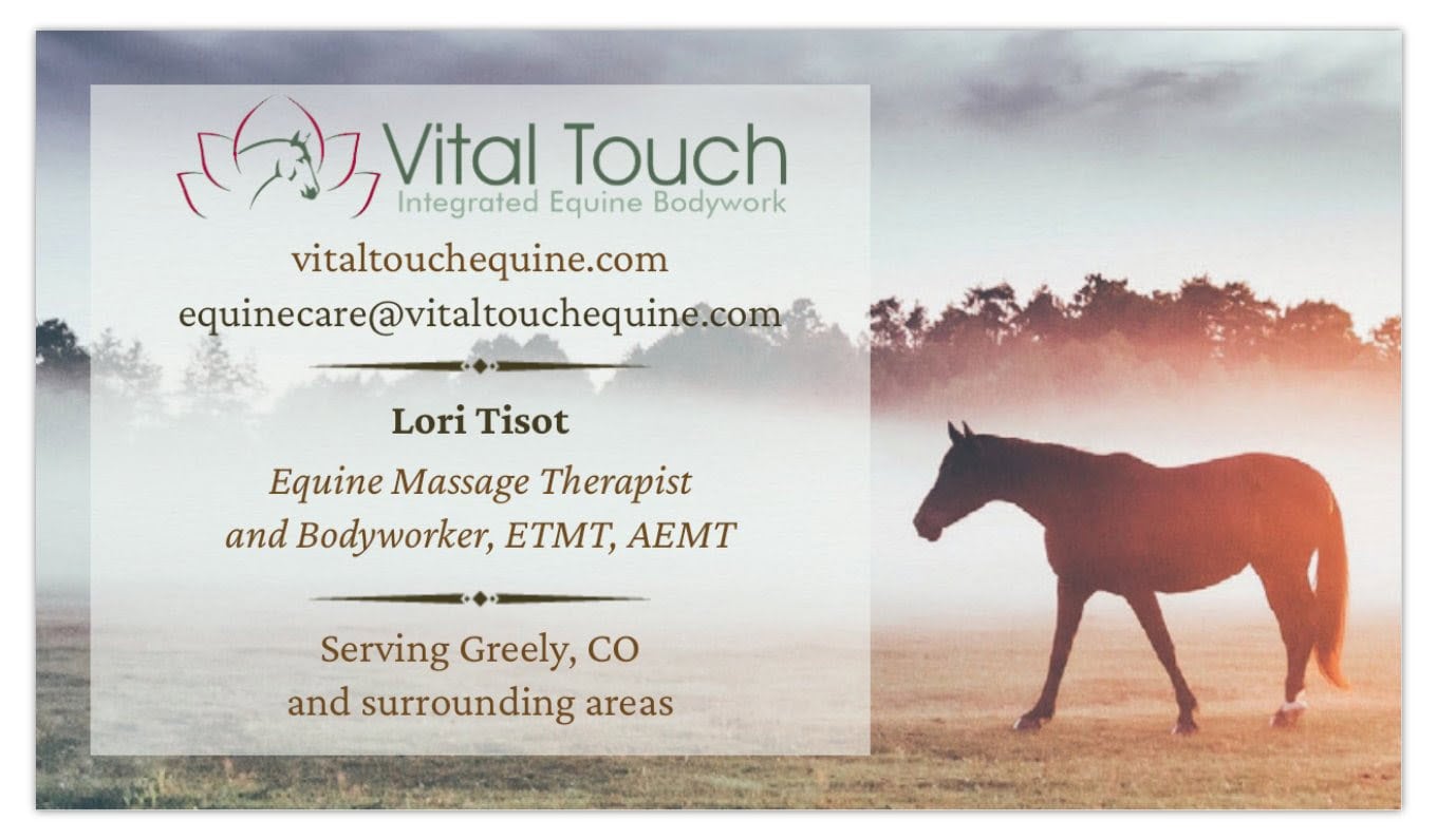 Lori Tisot - Equine Massage Therapist