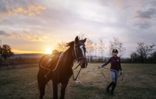 conditioning-horses-for-optimal-fitness