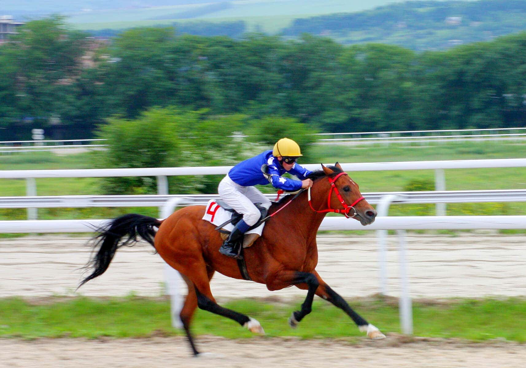 Do Nasal Strips for Horses Really Work? Evidence, Uses & Application Guide