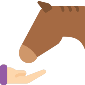 Equine Response to Vitamin E Supplementation