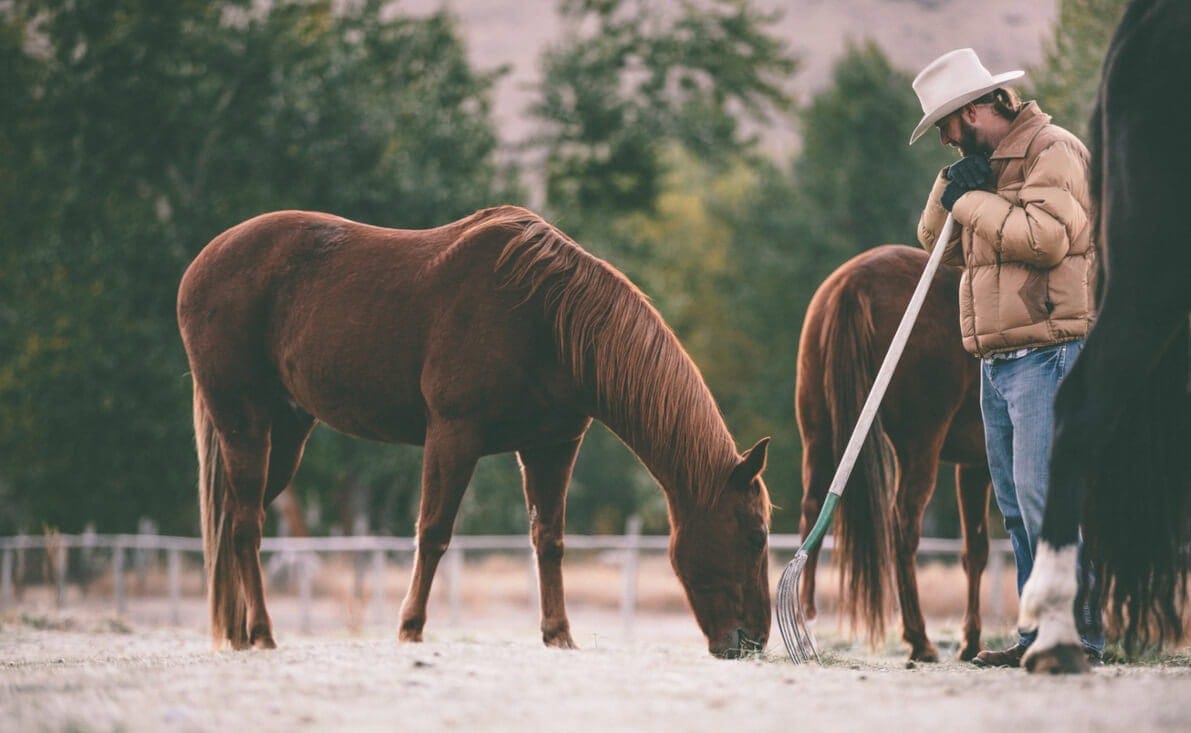 Equine Zoonotic Diseases: Managing Disease Risks in Horse-Human Contact