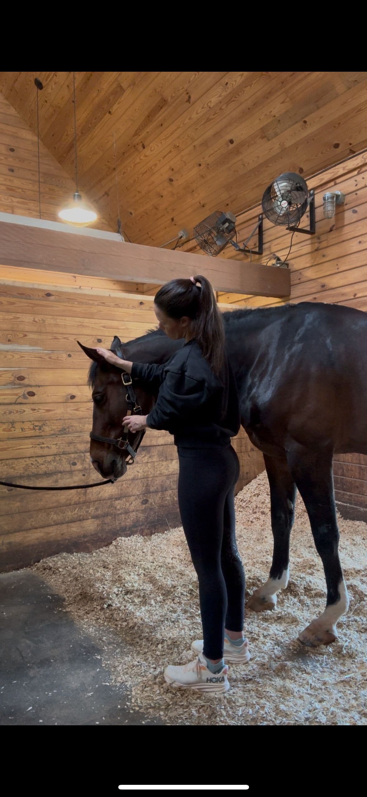 Sarah Pyrda - Equine Massage Therapist