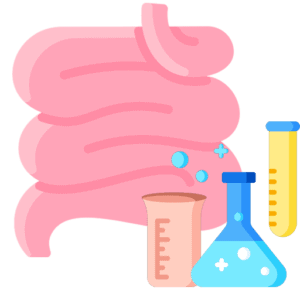 In vitro Foregut Digestion of Common Equine Feedstuffs