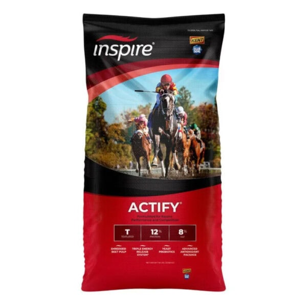 Inspire Actify (Blue Seal)