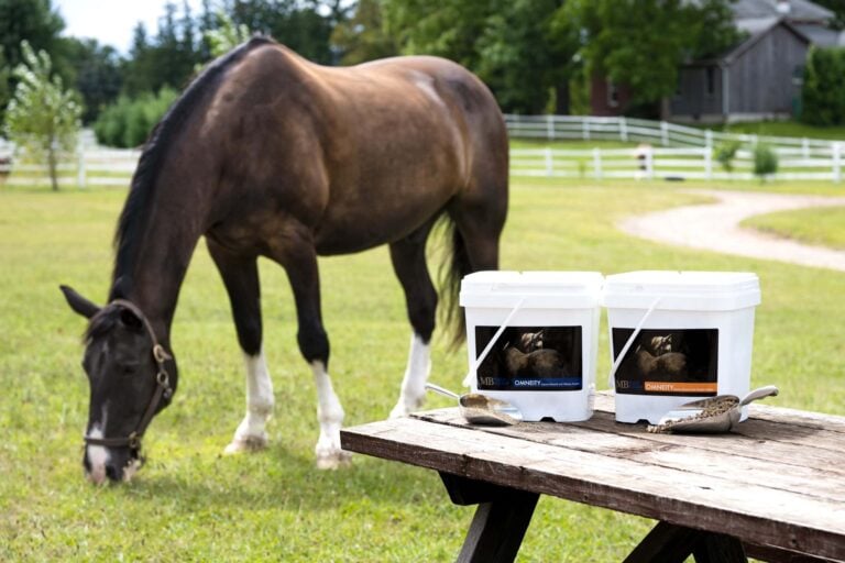 Best Vitamin and Mineral Supplement for Your Horse