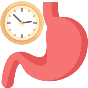Meta-Analysis of Mean Retention Time of Common Equine Feeds