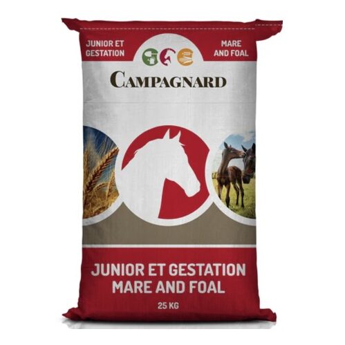 Moulee Junior (Campagnard)