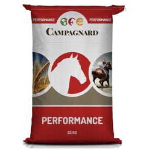 Moulee Prodige (Campagnard)