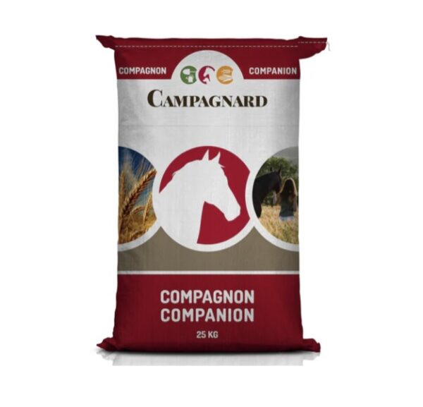 Moulee Tradition (Campagnard)