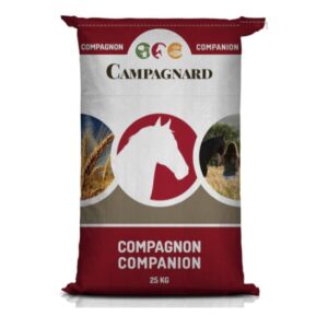 Moulee Tradition (Campagnard)