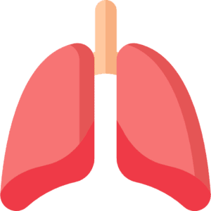 Reducing Ammonia Emissions in Horses to Support Environmental and Respiratory Health