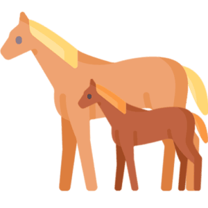 Supporting Mare Fertility Through Nutrition