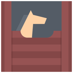 Survey of Turnout Practices in Equine Management