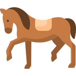 Welfare Assessment of Canadian Lesson Horses