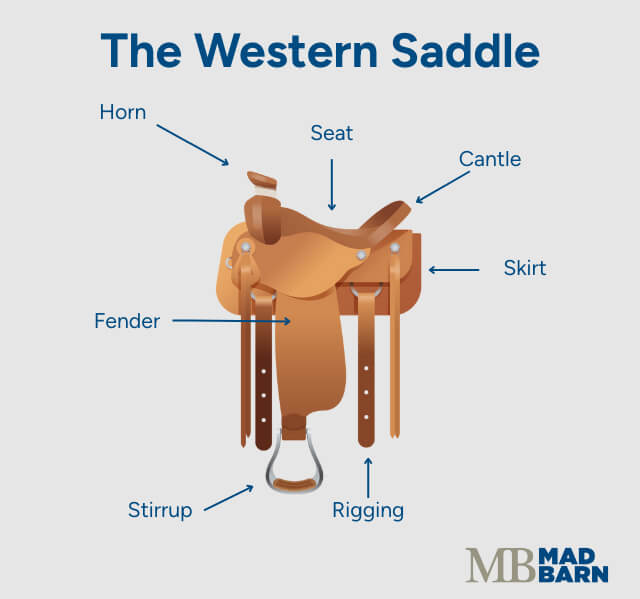 Parts of a Western Saddle
