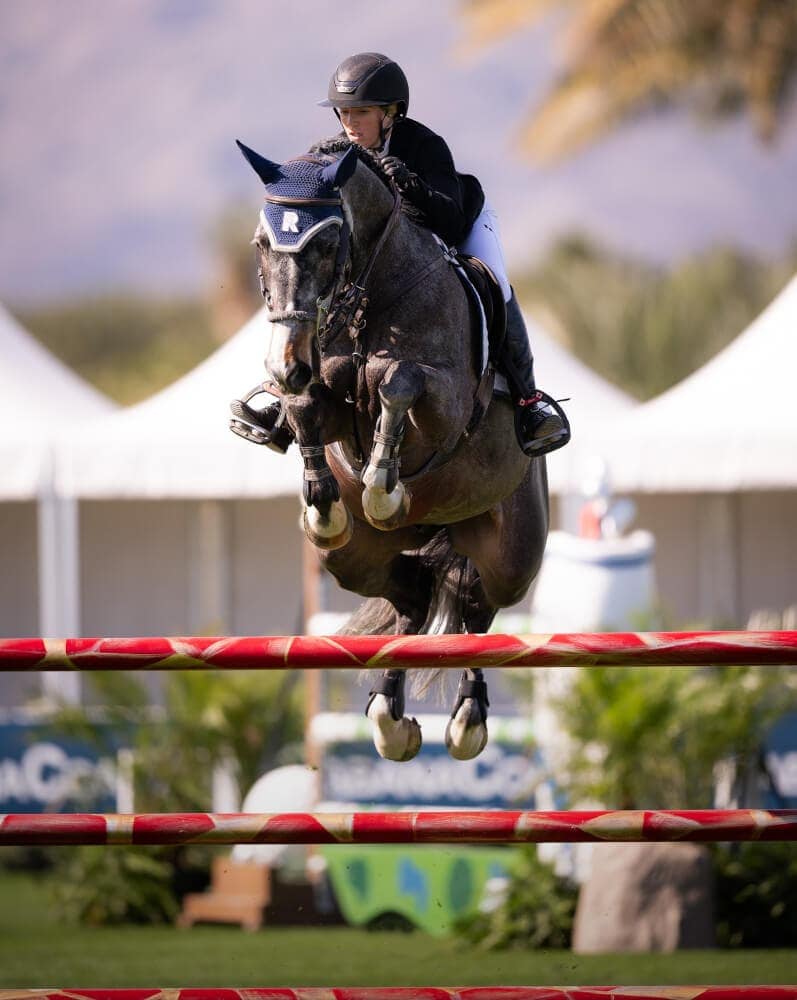 Ali Ramsay Show Jumper, Image of Ali Completing a Jump Over a Fence