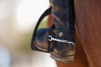 Artificial Riding Aids & Equine Welfare: Ethical Considerations for Horse Training