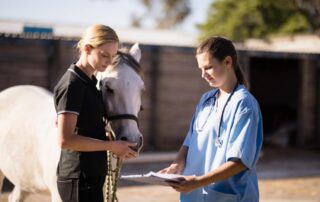 bronchoalveolar-lavage-in-equine-medicine
