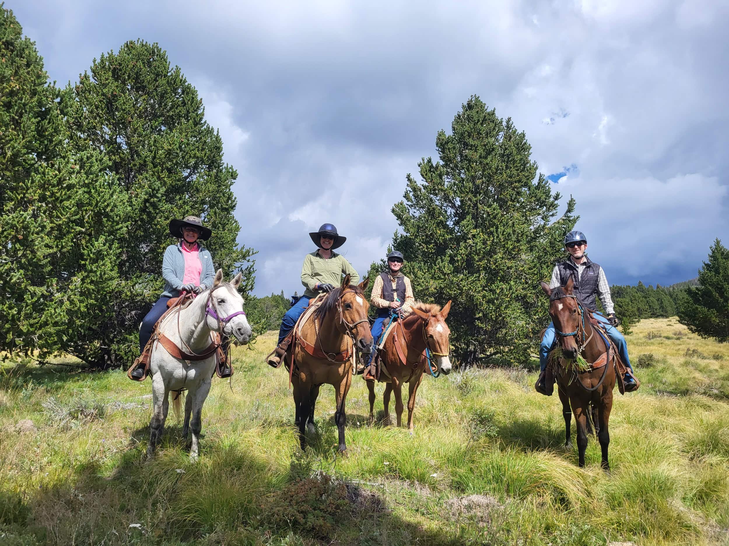 Cloud 9 Trails - Trail Rides