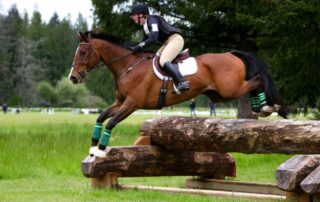 cross-country-horseback-riding-discipline-guide
