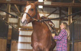 cross-tying-horses