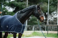 Horse Coolers: Uses, Types, & How to Choose the Best Cooler for Your Horse