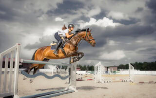 how-to-walk-a-show-jumping-course