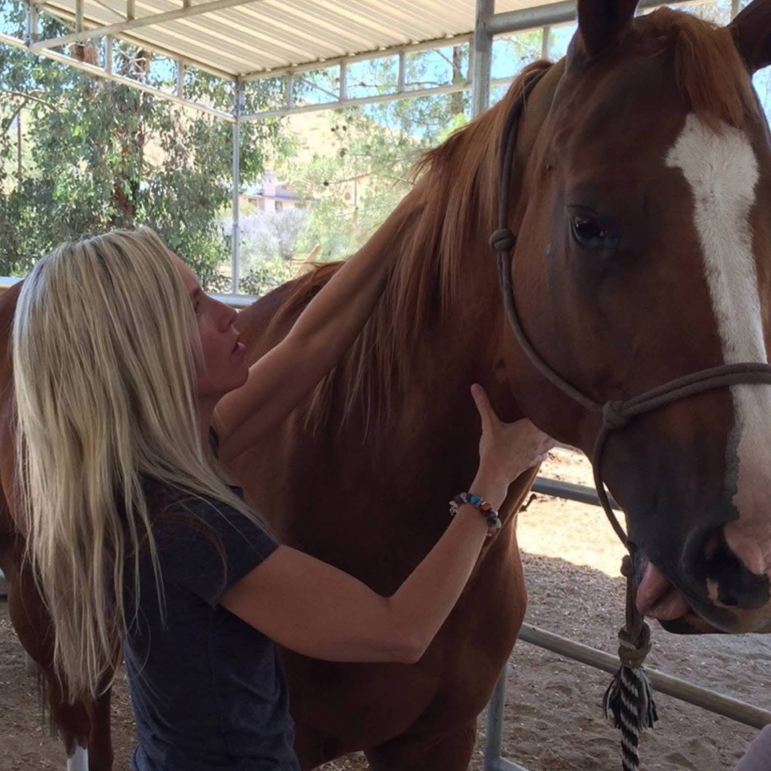 Jennifer Scalia - Equine Bodywork