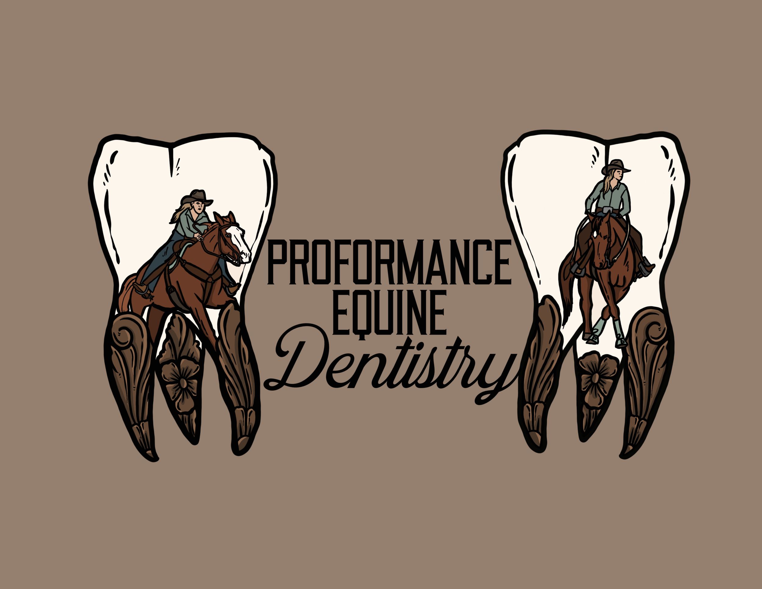 PROformance Equine Dentistry - Dental Practitioner